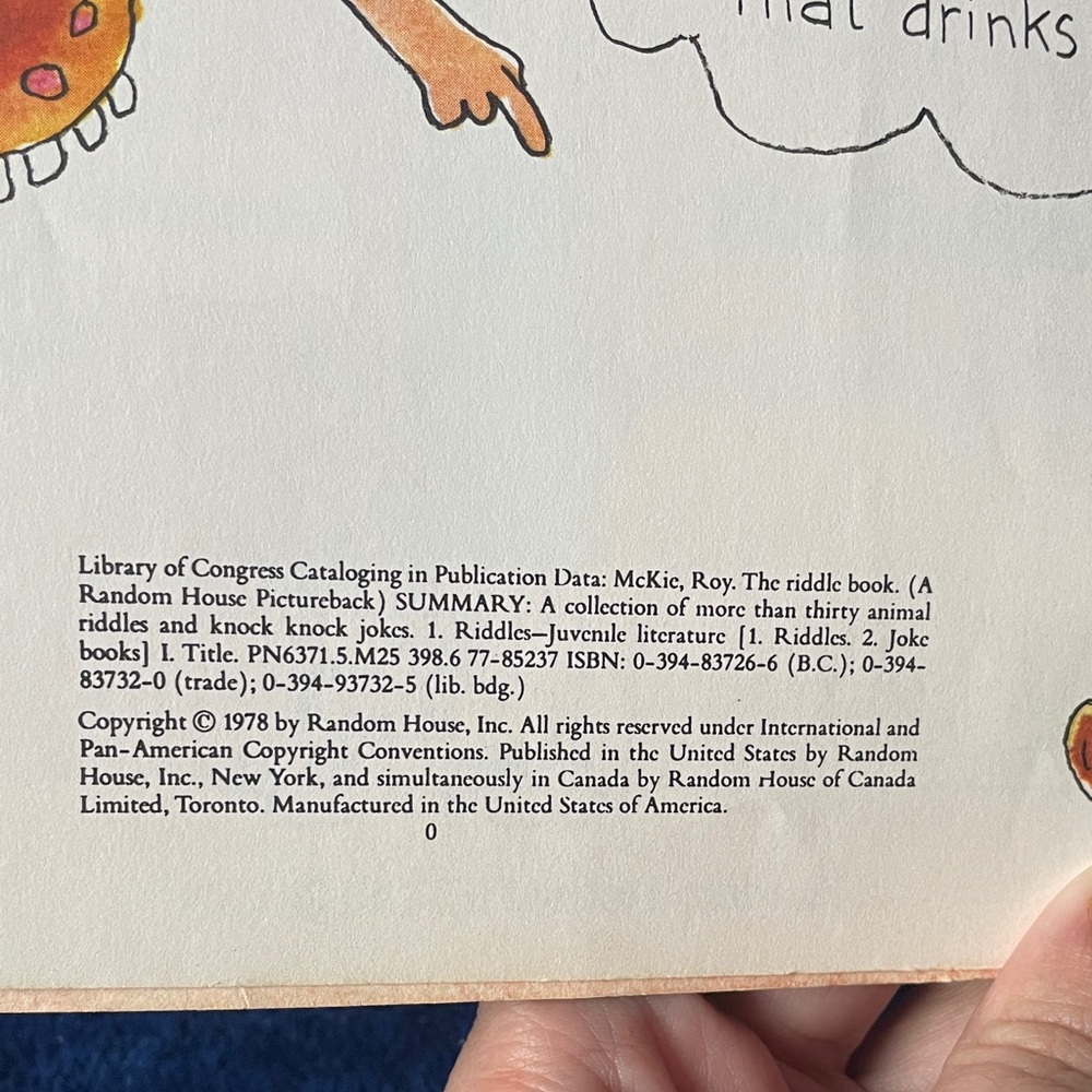 The Riddle Book with Colorful Illustrations - Picture 5 of 6
